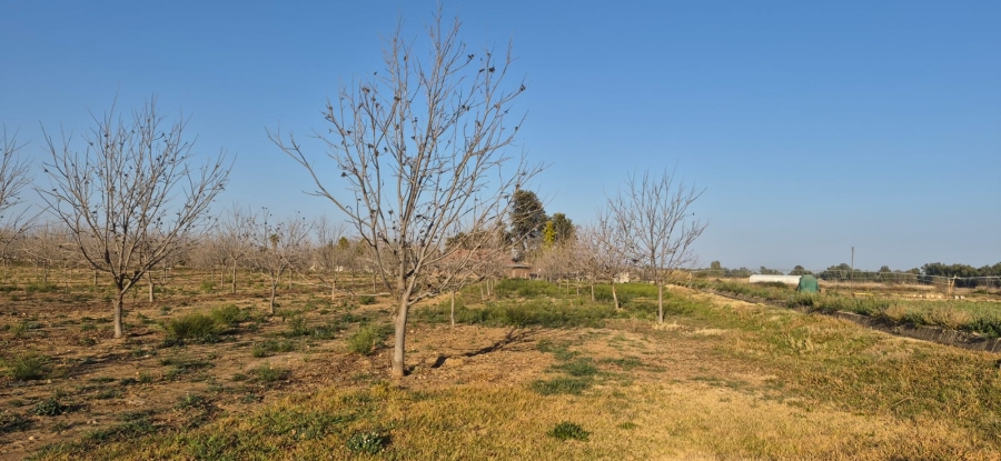 Commercial Property for Sale in Douglas Northern Cape